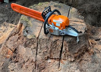 stump-grinding-c Expert Stump removal & grinding in Seattle WA