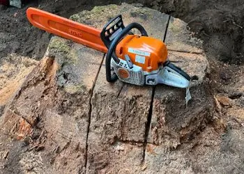 stump-grinding-c