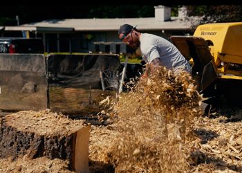 stump-grinding-d greater Seattle stump grinding services