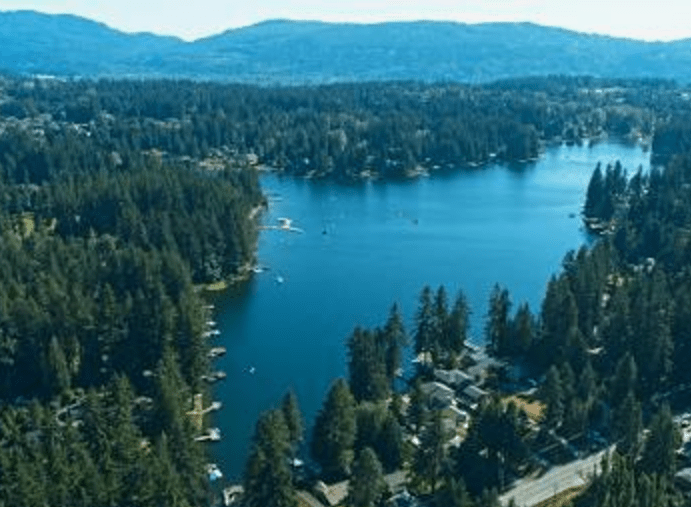 Redmond WA Tree Service