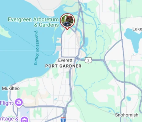 Everett, WA Tree Removal Everett, WA Tree Service