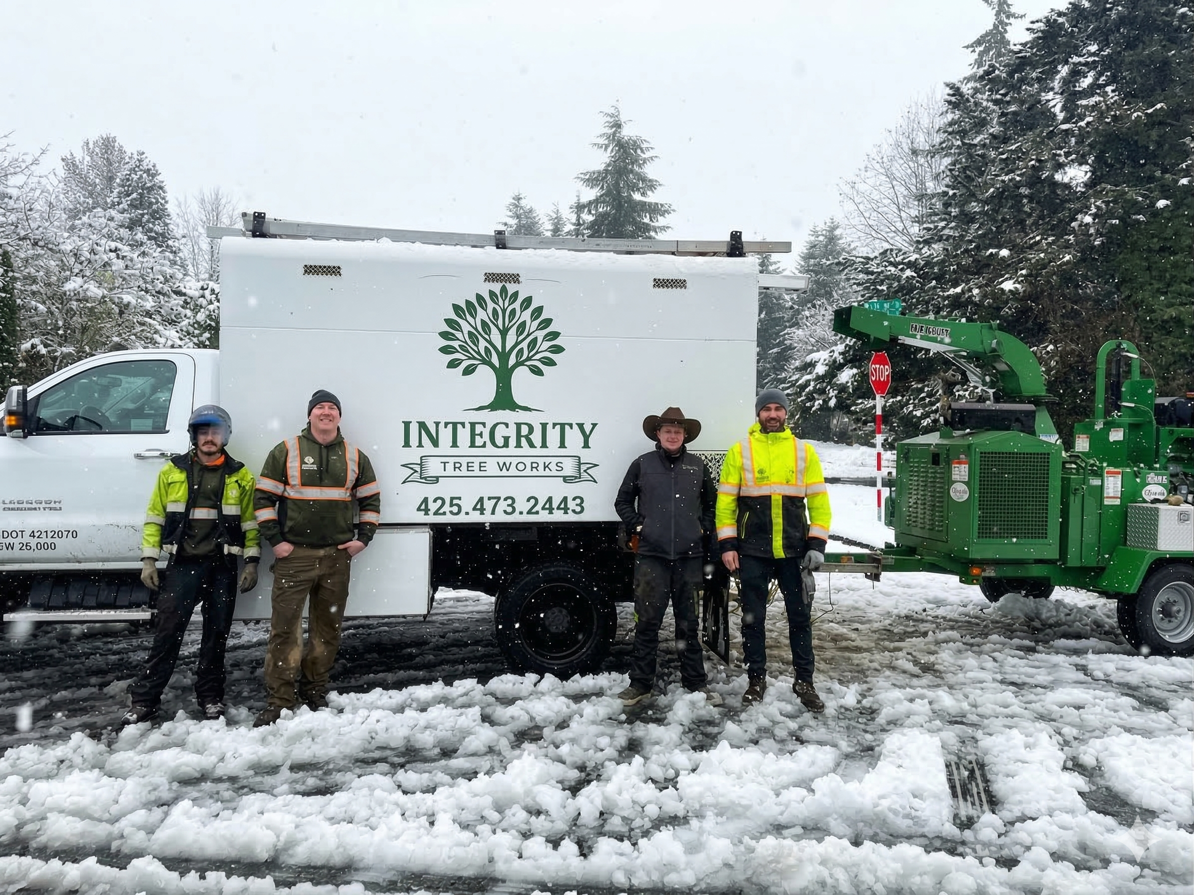 Tree Service in Seattle Area